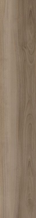 Harper Taupe 10 x 60